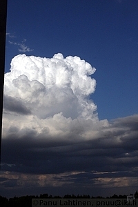 Cumulus congestus