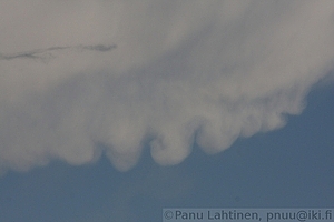 Cumulonimbus incus mammatus