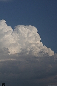 Cumulonimbus pileus 2