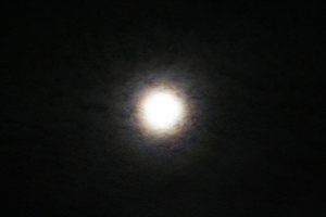 kuukeha