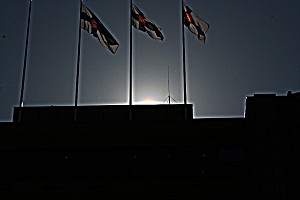 pollen corona