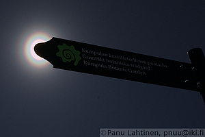 Siitepolykeha 5