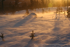 Lumituisku