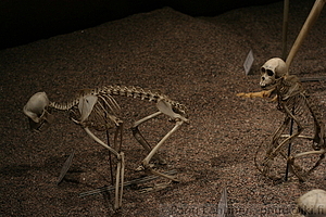 Kiss my bony ass