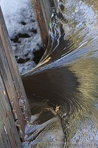 Laajoki 1