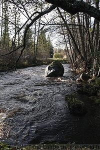 Laajoki 2