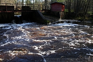 Laajoki 4