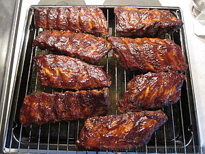 Ribseja