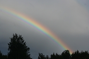 Rainbow interference original