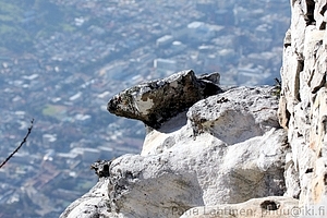 Cape Town is down there