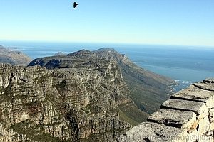 Hout bay from Table mountain