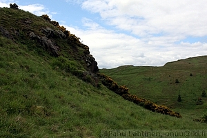 67 - Arthur's Seatin rinteita